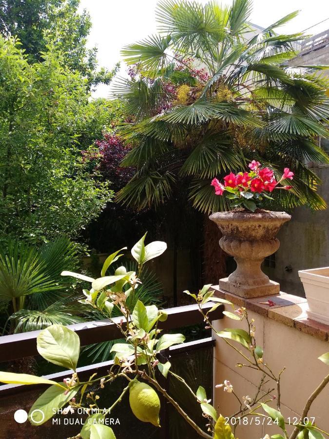Appartement Charmant A Alfortville 30M² Terrasse Et Jardin 외부 사진